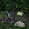 gate