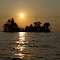 Spider Island