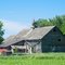 Weathered Barn - Jessenland, MN - July 4th, 2011