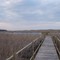 Swan Lake Handicap Hunting Boardwalk