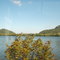 Mississippi from the Amtrack 1