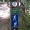 mushroom trail