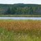 Lake Ogechie, Mille Lacs Kathio State Park, Onamia, Minnesota