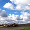 Sugar beet harvest in western Minnesota