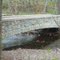 Stone Bridge
