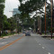 Ryan St. - Looking North