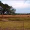 Rural Louisiana and Steak in slow motion