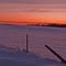 Winter fenceline