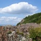 Near summit, Mt. Tom, Holyoke Mass.