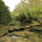 Bungaroo stepping stones