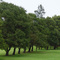 Gordon golf course