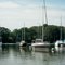 Sailboats in the Sassafras River Marina