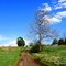 The Path I Took.