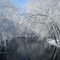 Red Cedar River in Ice