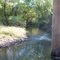 Little Brazos River (October 2008)