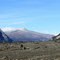 Upper Nizina River
