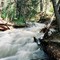 New Mexico Stream - 1994