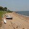 Buffalo Bay