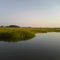 Wetlands at sundown