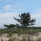 Hammonasset Beach State Park