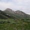 Toiyabe Range, June 2006