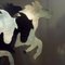 Wild Horses