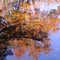 Fall Refections!