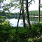 Saffin pond