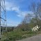 Power Lines