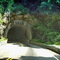 2004 Blue Ridge Prkwy tunnel