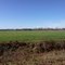 Road field