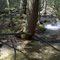Wide Falls