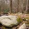 Tumbling Run Game Preserve