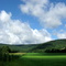 Rt. 219, outside Salamanca, NY