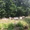 Boulders