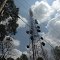 Communications Tower with Microwave Dishes