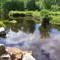 Fire Lake