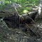 Schoolhouse Brook Headwater Waterfall