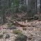 Rock pile