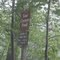 Four Corners Pond 6/6/10