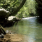 Fishing Creek in Clinton Co., PA