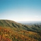 Mountain Beauty
