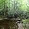 Brumley Creek 1