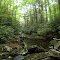 Brumley Creek 2