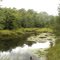 South River Near Rail Road Crossing