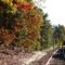 CSX Line Southbound at Main Avenue