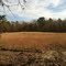 An open field?