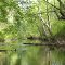 Great Egg Harbor River Curves