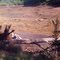 Dry Lake