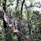 Crow's Nest, Red Mountain Park, Homewood Alabama